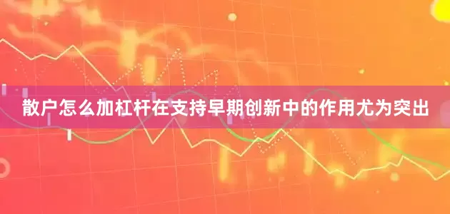 散户怎么加杠杆在支持早期创新中的作用尤为突出