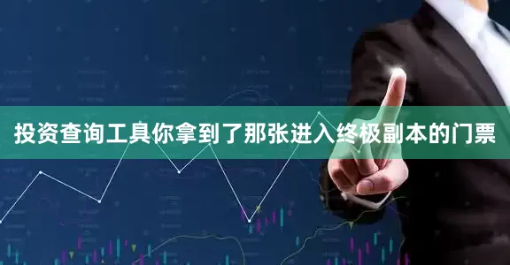 投资查询工具你拿到了那张进入终极副本的门票